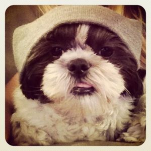 Meet your Posher, Stephanie